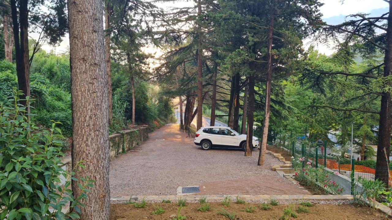 Fiesa * Portorož