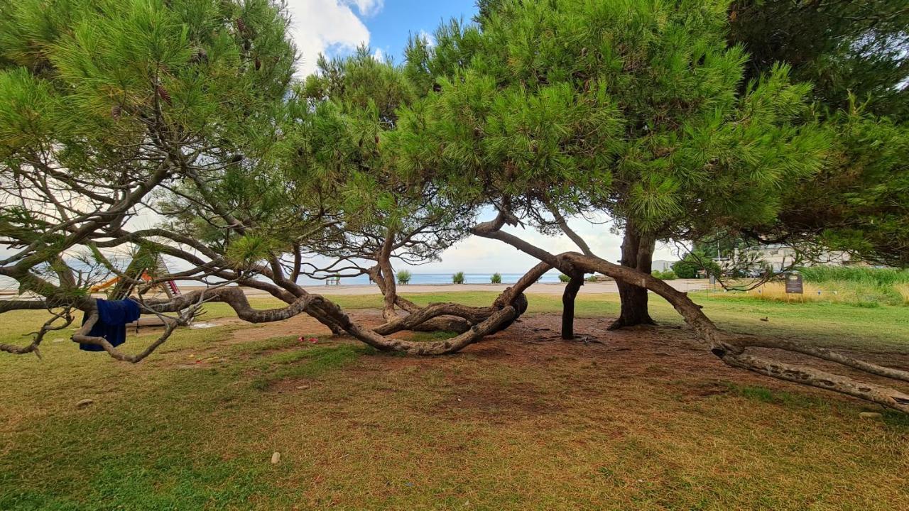 Fiesa Appartement Portorož