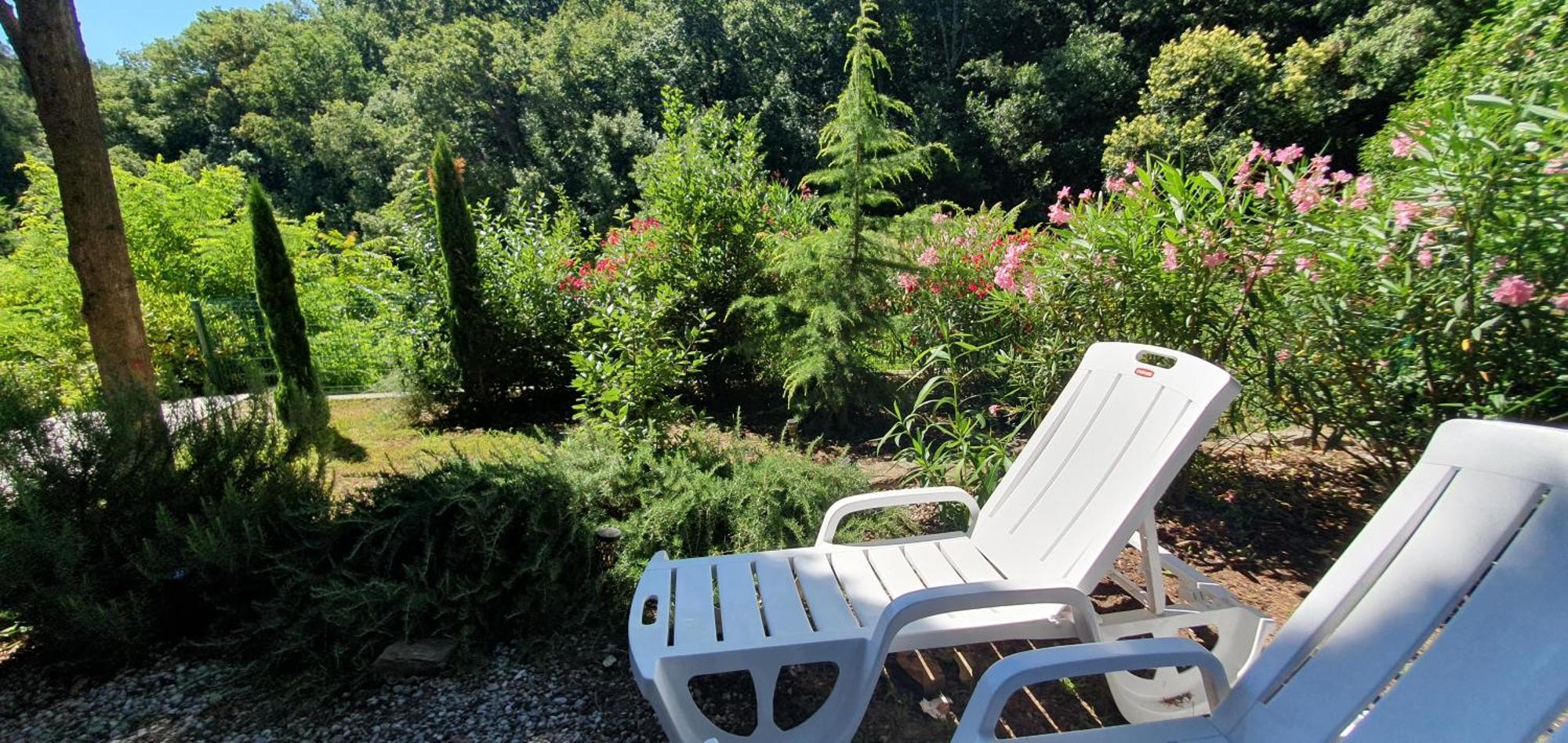 Fiesa Appartement *