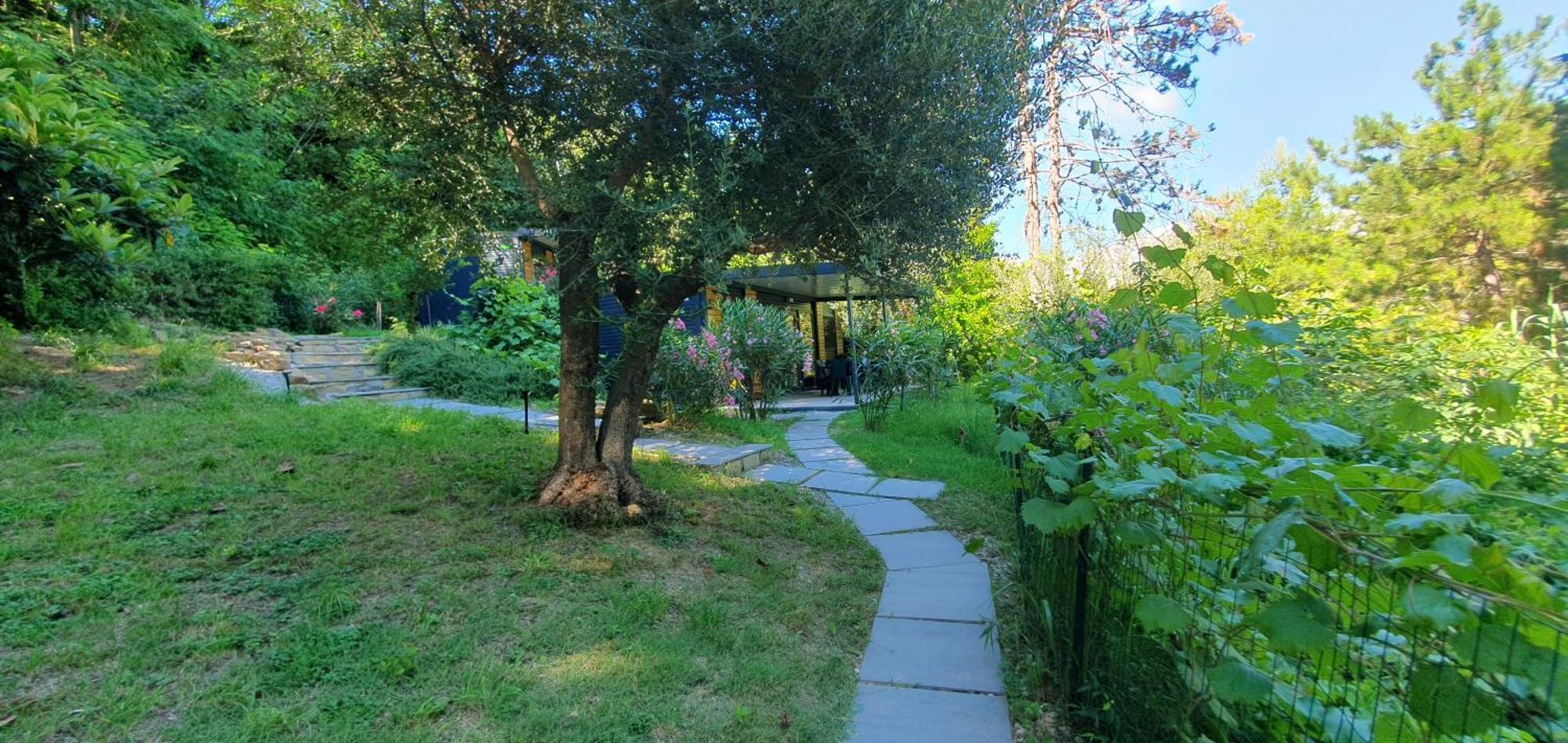 Appartement Fiesa